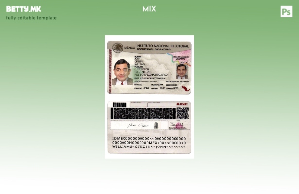 Модерен стил на шаблон Мексико национален институт (верзија).